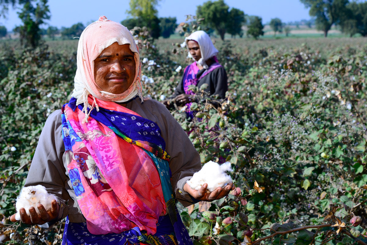  A woman cotton farmer. 