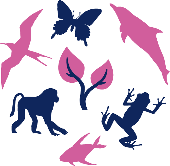 biodiversity icon