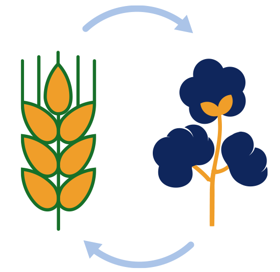crop rotation icon