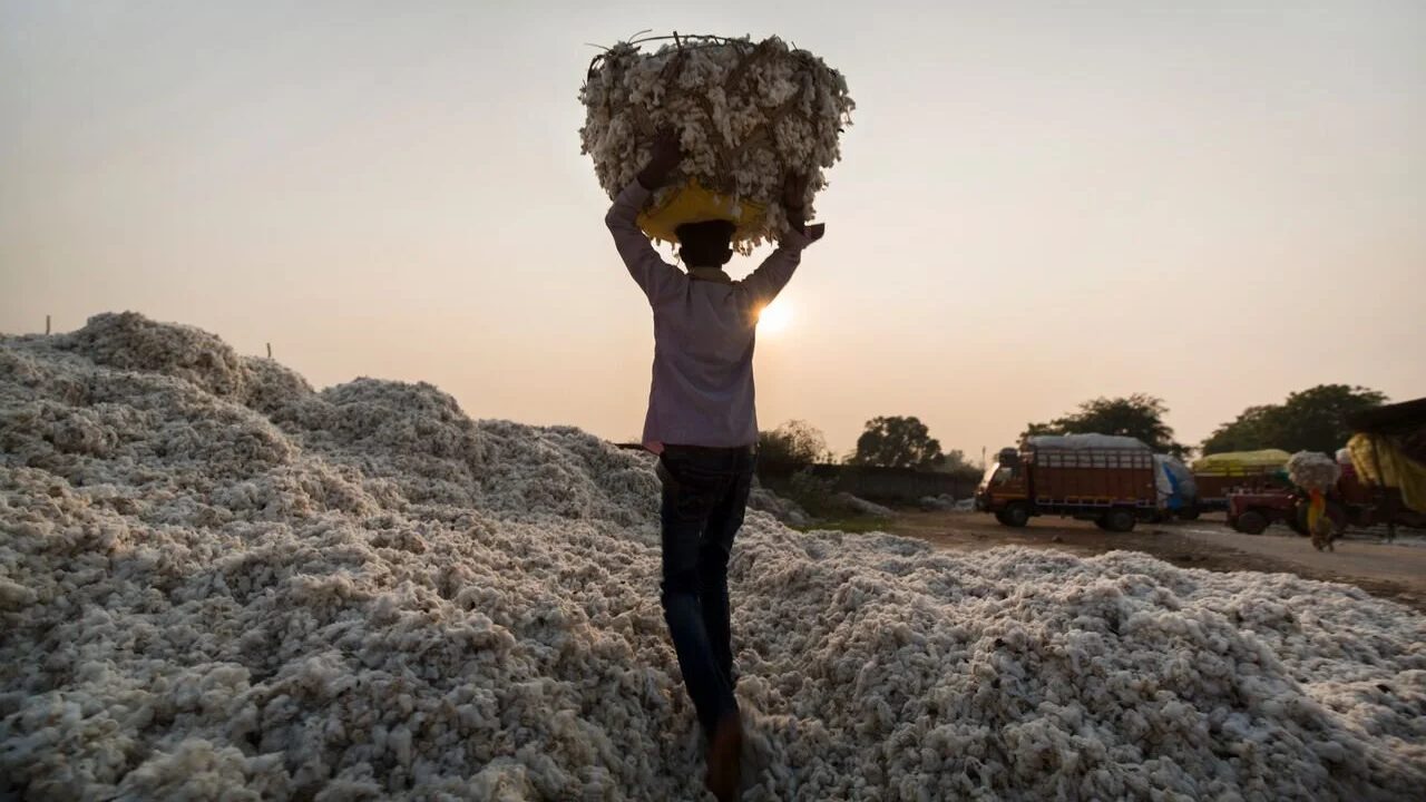 A man walking away with cotton above his head, the sun is setting.