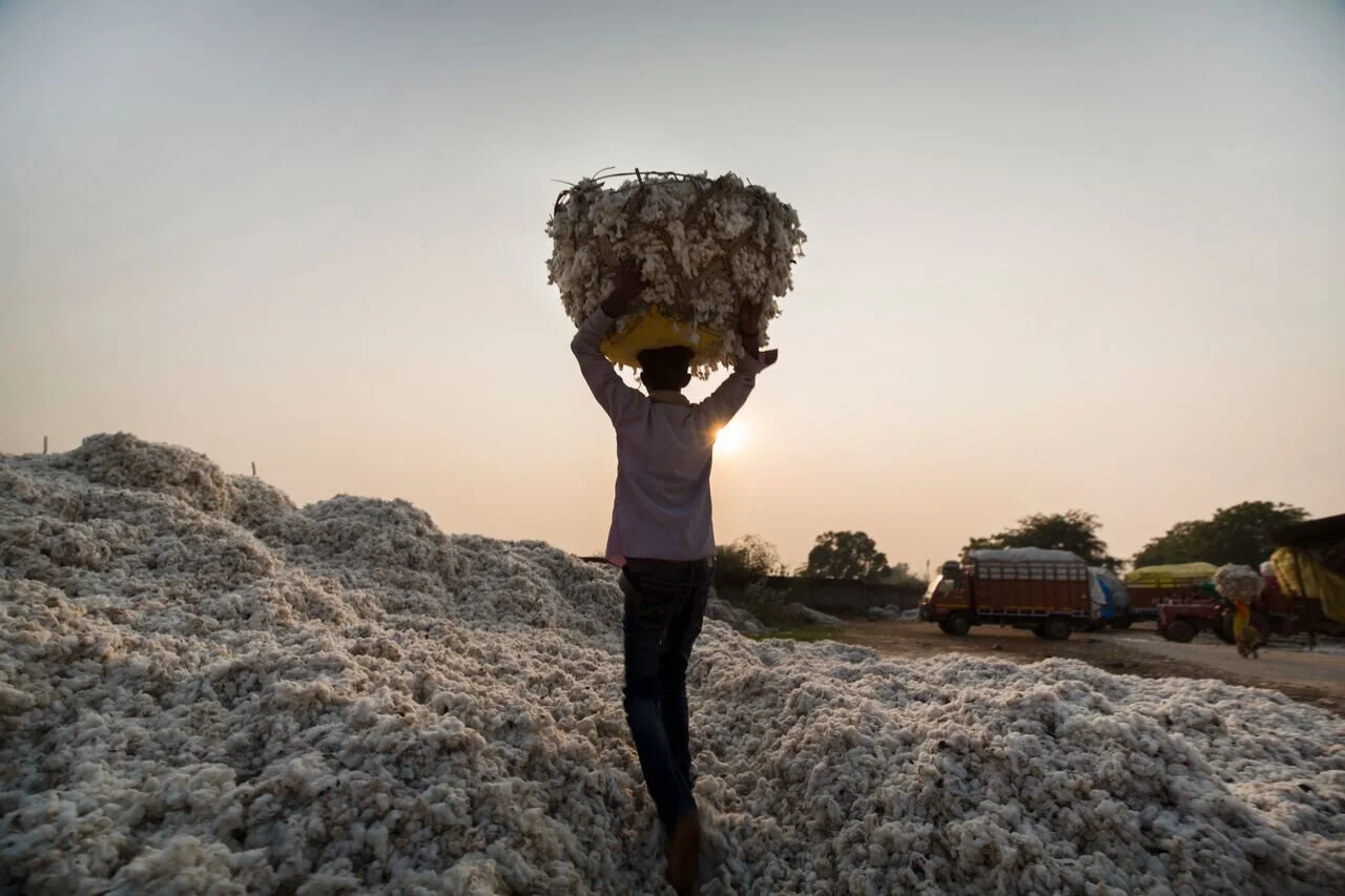 A man walking away with cotton above his head, the sun is setting.