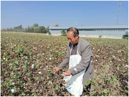  Zhaozhen Wang has been farming for the last 44 years. 