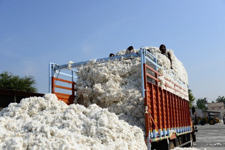 A truck containing cotton.